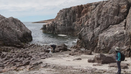 Bahía Bustamante: el refugio exclusivo en la patagonia que cautiva a los viajeros más exigentes