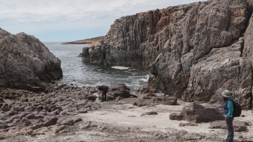 Bahía Bustamante: el refugio exclusivo en la patagonia que cautiva a los viajeros más exigentes