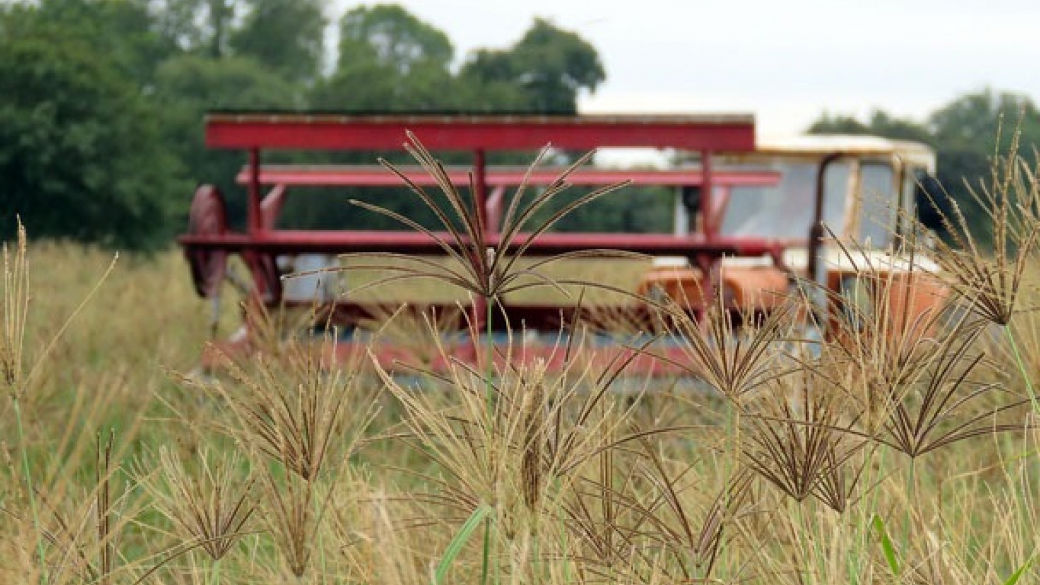 La Pampa impulsa una jornada técnica sobre recuperación de pasturas en Embajador Martini