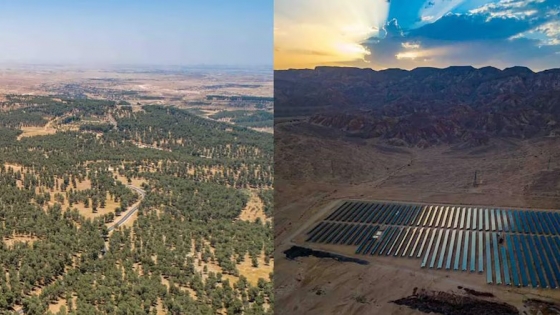 Los parques solares: una alternativa clave contra el calentamiento global