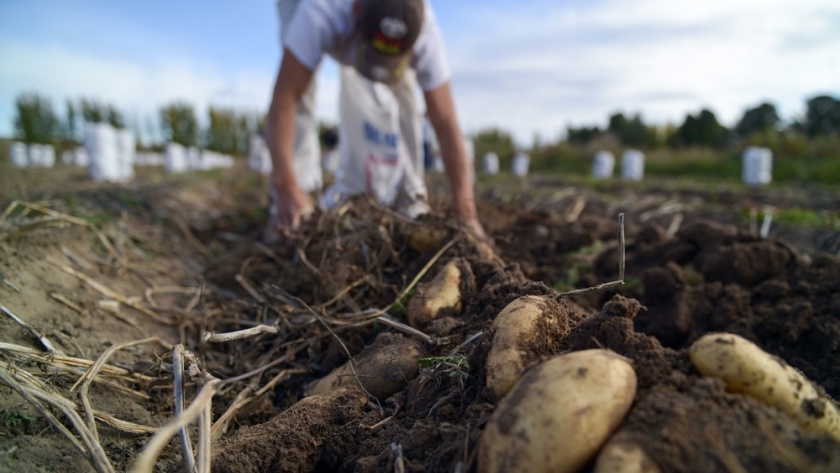 Se realizó una jornada de intercambios y experiencias en producciones agroecológicas