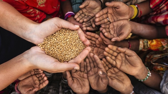Propuestas globales para erradicar el hambre en el mundo