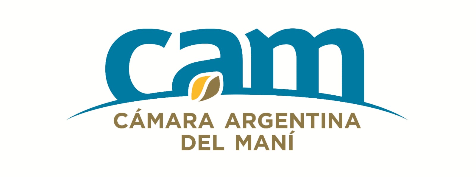 CAM