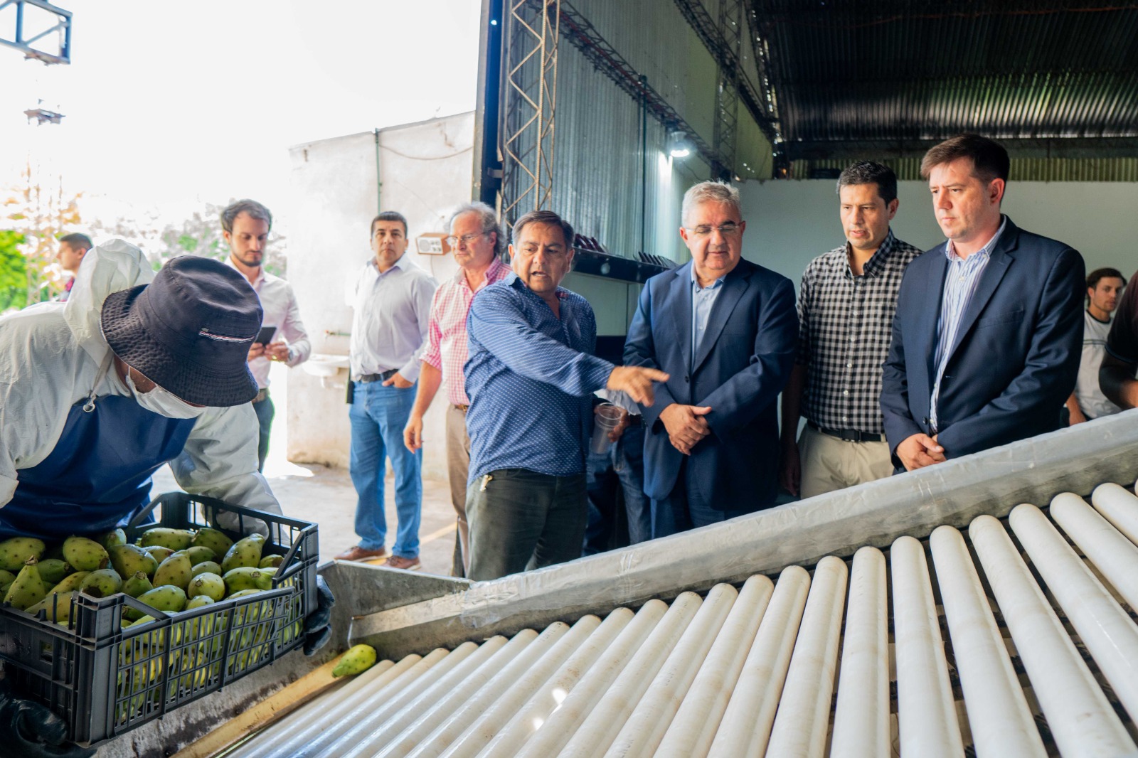 Catamarca convierte un ensayo productivo en un negocio exportador con destino Europeo