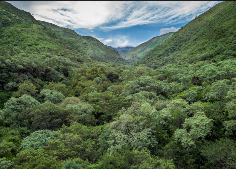 La creación de la Reserva Natural Huillapima impulsa el desarrollo económico y turístico en Catamarca
