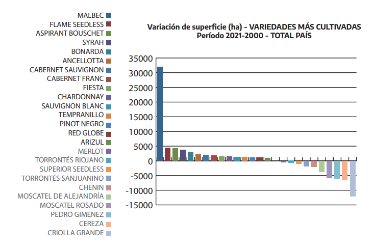 Se publicó el Informe Anual de Superficie de Vid en la Argentina de 2021