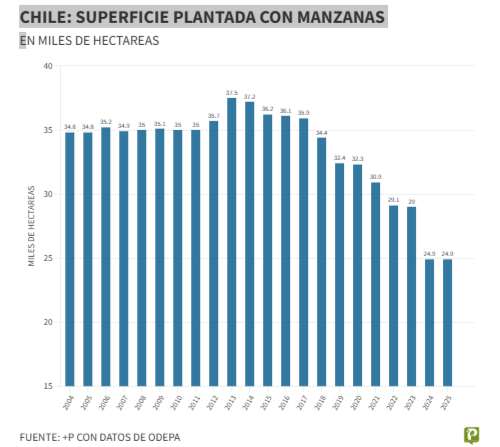 Exportaciones en ca&iacute;da: el desaf&iacute;o de la cereza chilena
