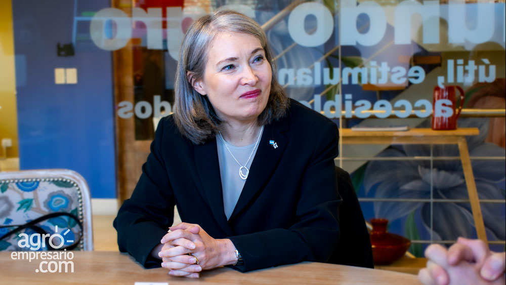 Nicola Lindertz, Embajadora de Finlandia en Argentina