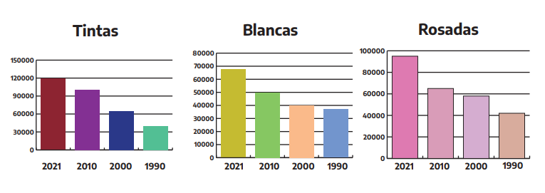 Se publicó el Informe Anual de Superficie de Vid en la Argentina de 2021