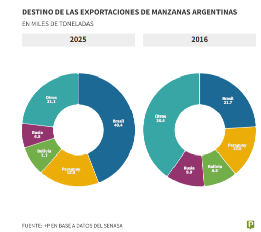 Brasil impulsa el repunte de la manzana argentina y consolida una recuperaci&oacute;n exportadora