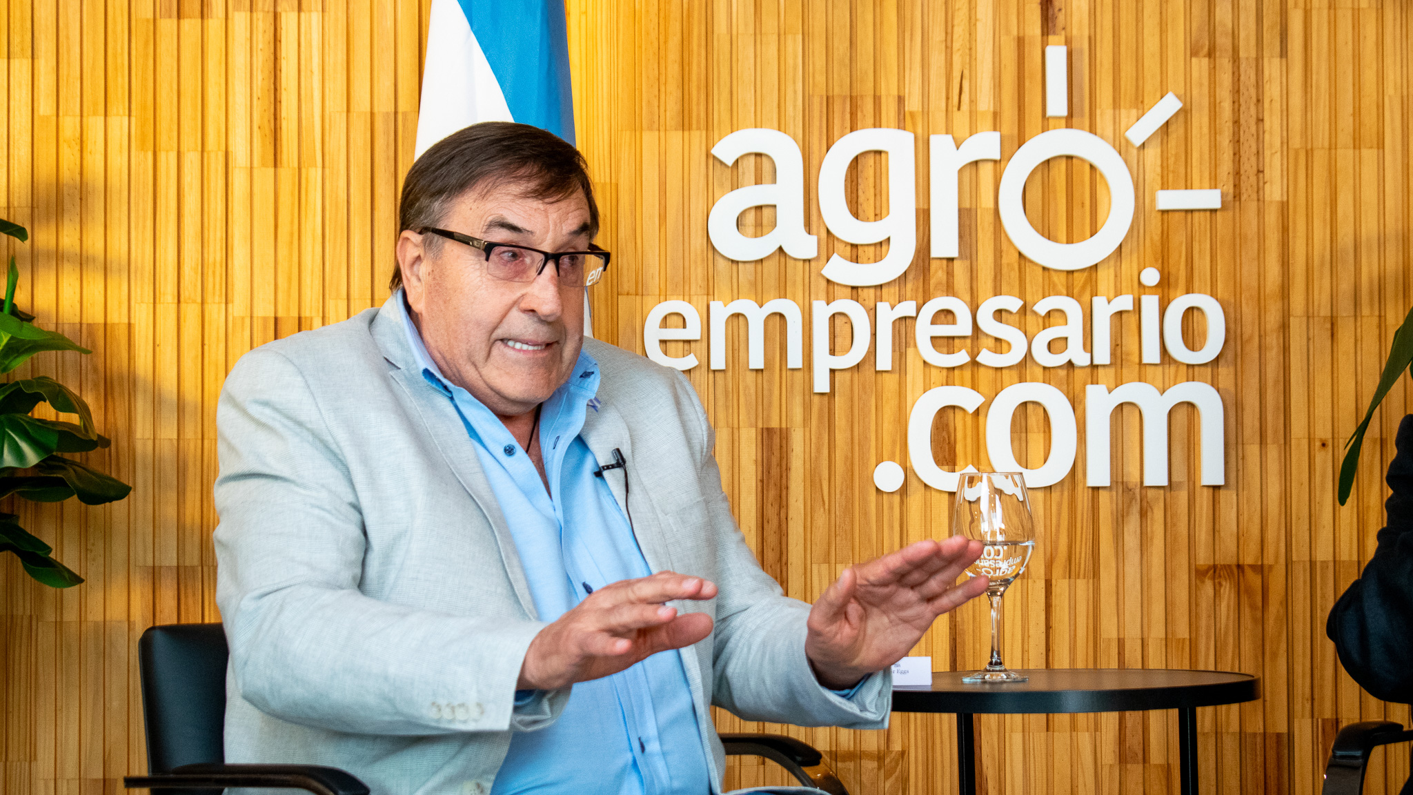¿Generarán más exportaciones los consumos internos que crecen de pollo y huevo?