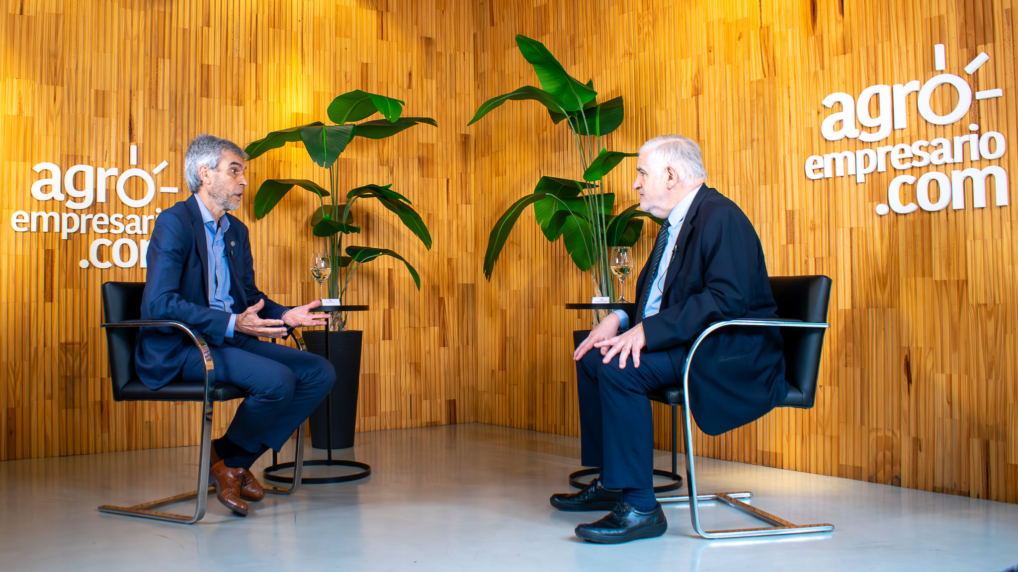 ¿Pasamos de líder global a intrascendentes en biodiesel?