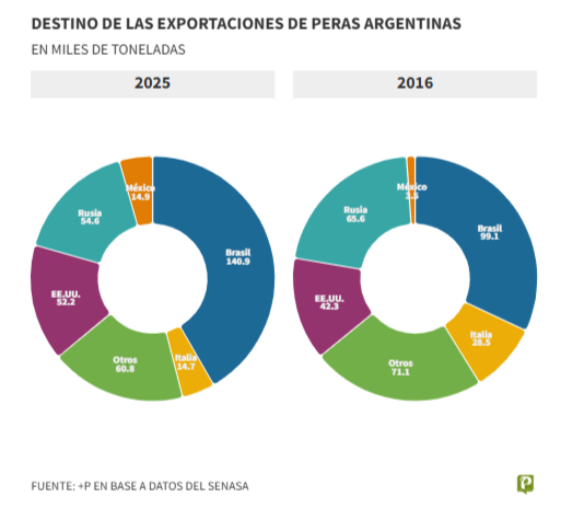 Exportaciones de peras: 2025 cerró por debajo de lo esperado pese a un inicio alentador