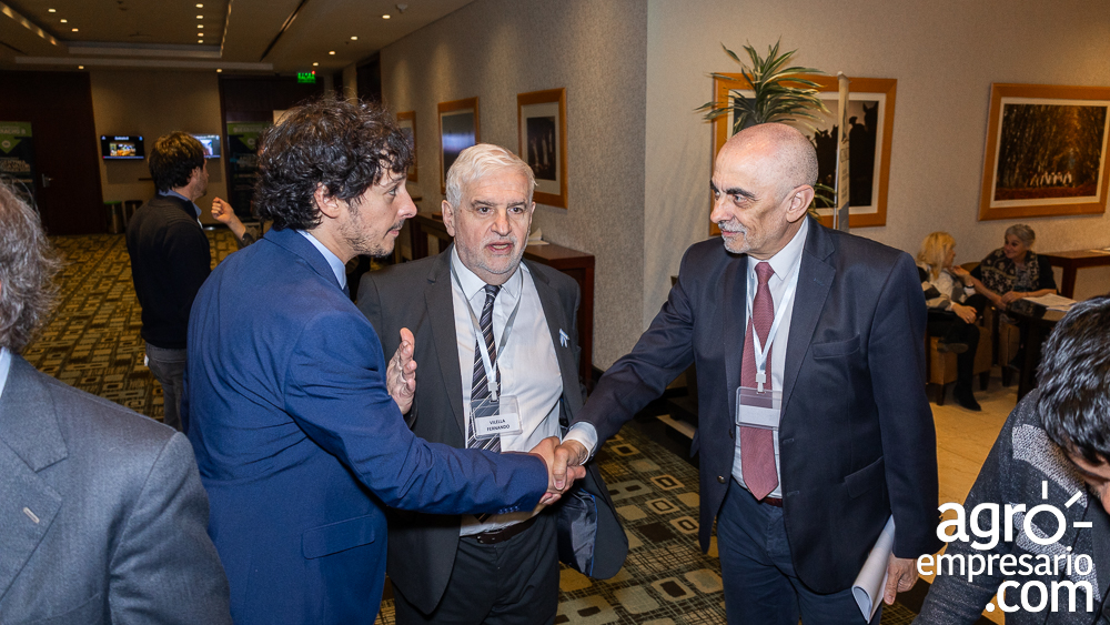 Pablo Cortese: “Lo que realmente exportamos es confianza”