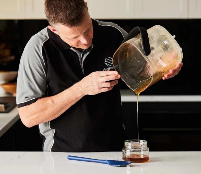 Una nueva tecnología promete extraer miel en 20 segundos y cambiar la apicultura