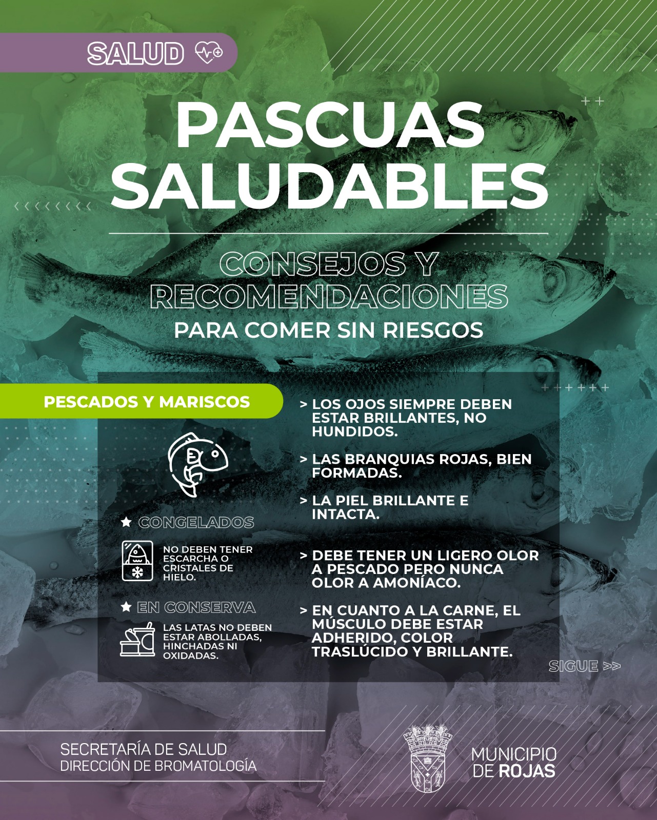 Consejos para Consumir Pescados y Mariscos en Pascuas de Forma Segura