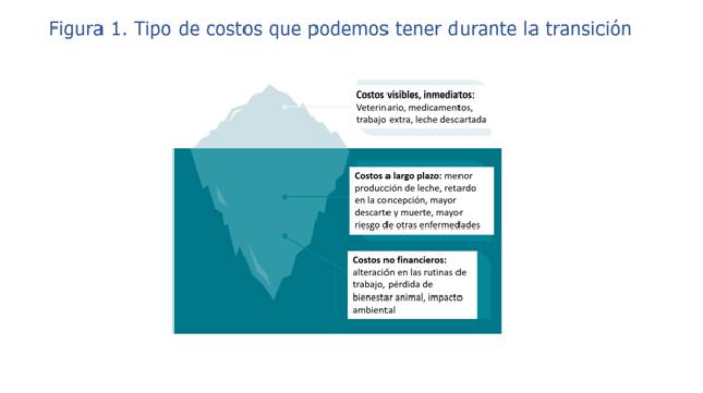 Convertir a la transición en una oportunidad