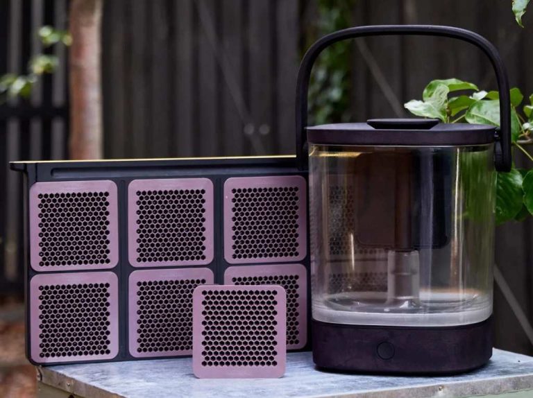 Una nueva tecnología promete extraer miel en 20 segundos y cambiar la apicultura