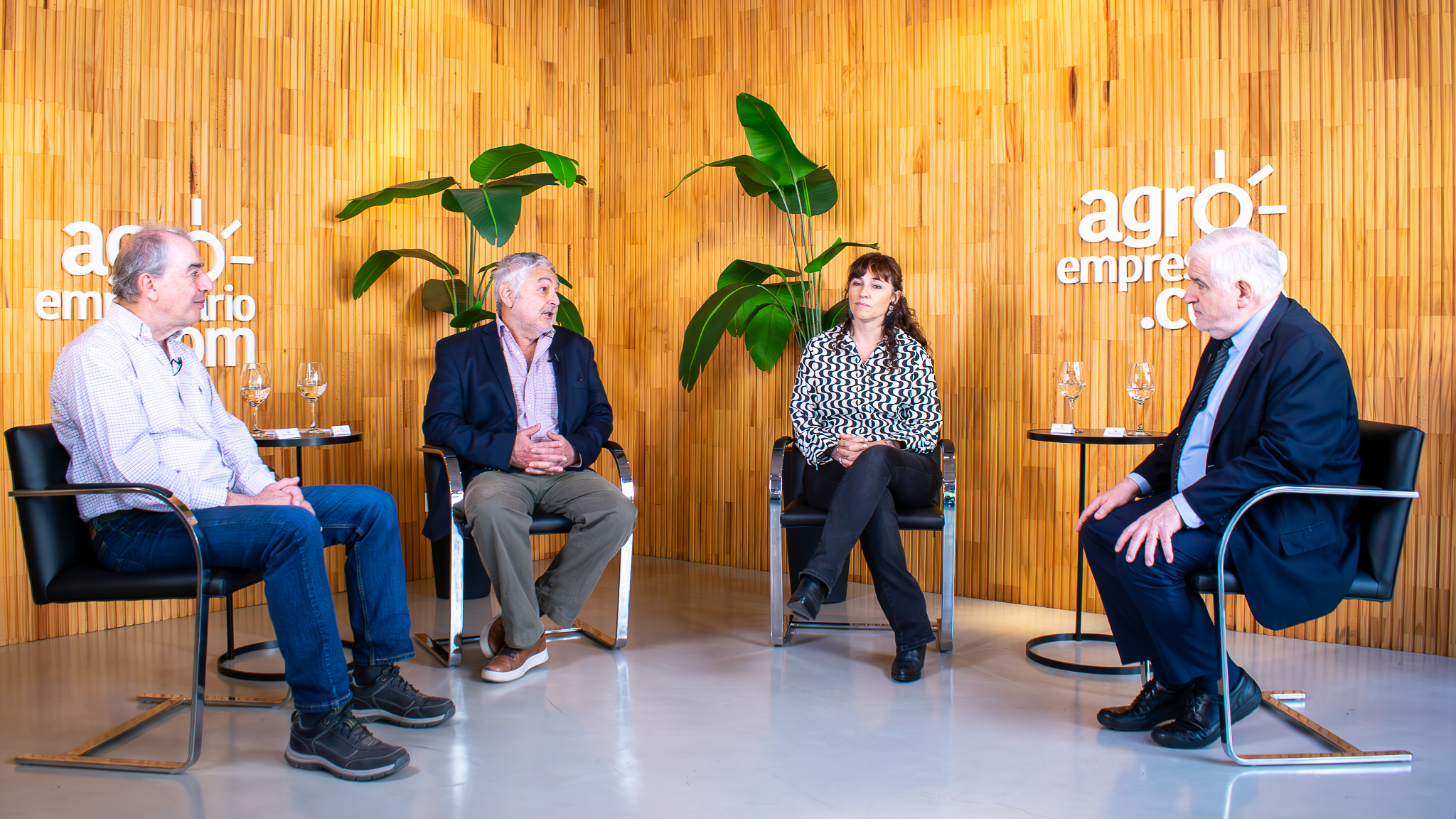 ¿El Biochar es una puerta a una bioeconomía más amplia y diversificada?