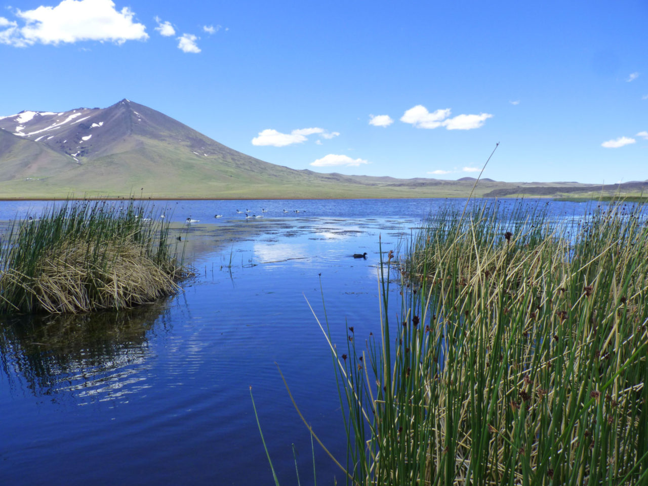 Se realiz&oacute; una charla sobre Turismo y Conservaci&oacute;n en &Aacute;reas Protegidas de la Zona Norte