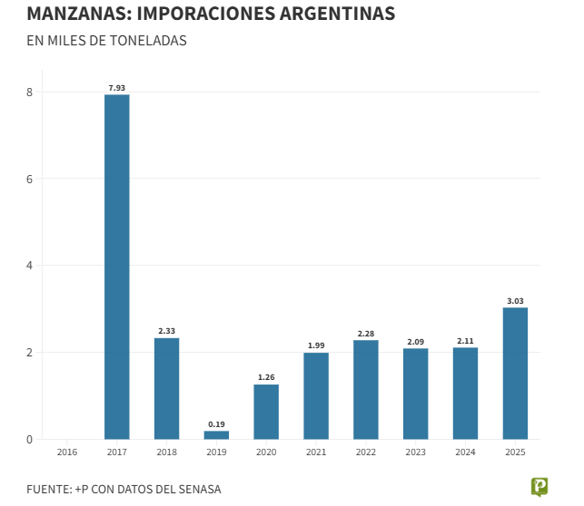 Las importaciones de manzana crecen, pero siguen lejos de alterar el equilibrio del mercado interno