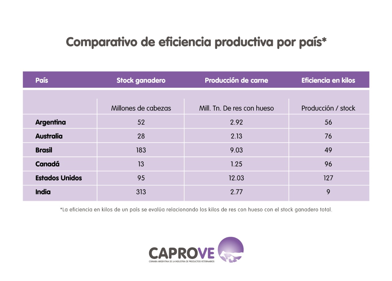 El impacto de la sanidad animal en la producci&oacute;n ganadera