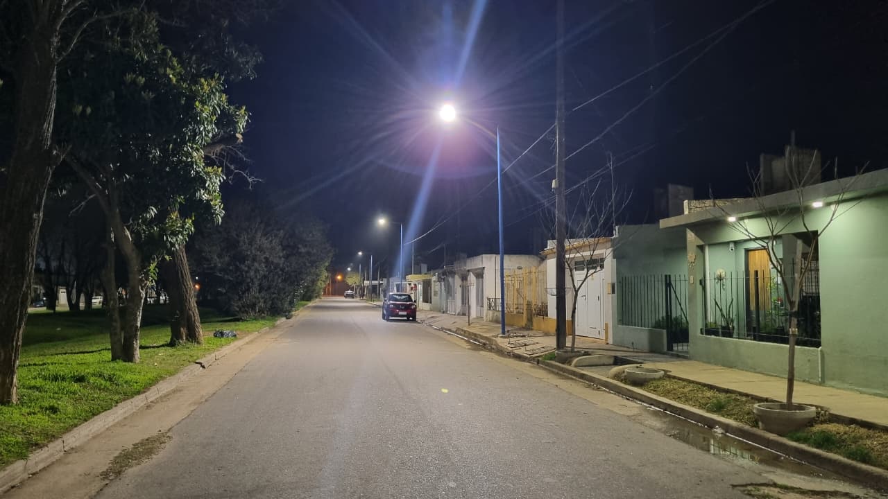 Rojas