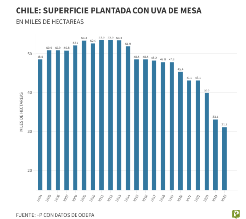 Exportaciones en ca&iacute;da: el desaf&iacute;o de la cereza chilena