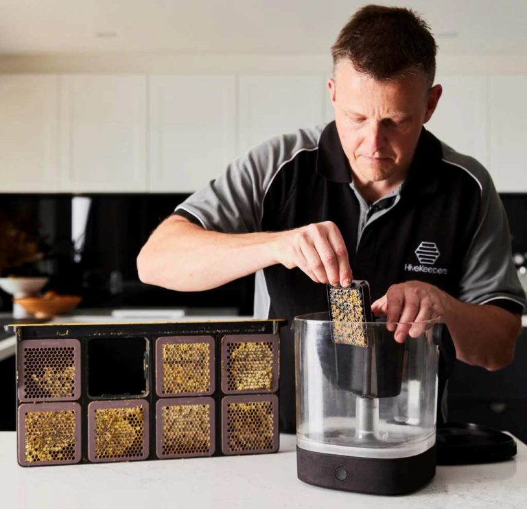 Una nueva tecnología promete extraer miel en 20 segundos y cambiar la apicultura | Agroempresario.com