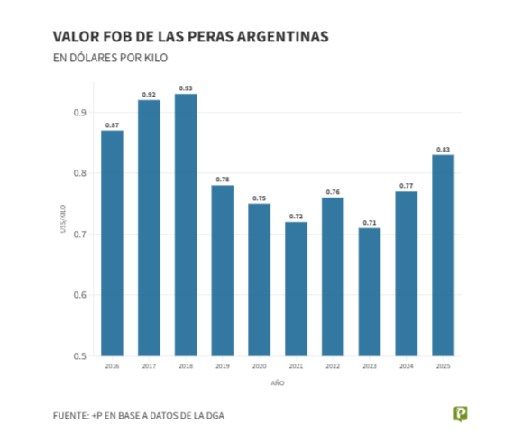 Exportaciones de peras: 2025 cerró por debajo de lo esperado pese a un inicio alentador
