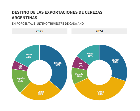 Golpe climático y derrumbe exportador: la cereza argentina arrancó la campaña con la peor marca en seis años