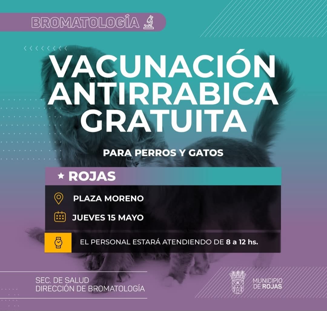 Vacunación gratuita contra la rabia en Plaza Moreno: este jueves, cuidá a tu mascota