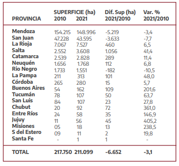 Se publicó el Informe Anual de Superficie de Vid en la Argentina de 2021