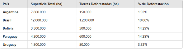 Informe