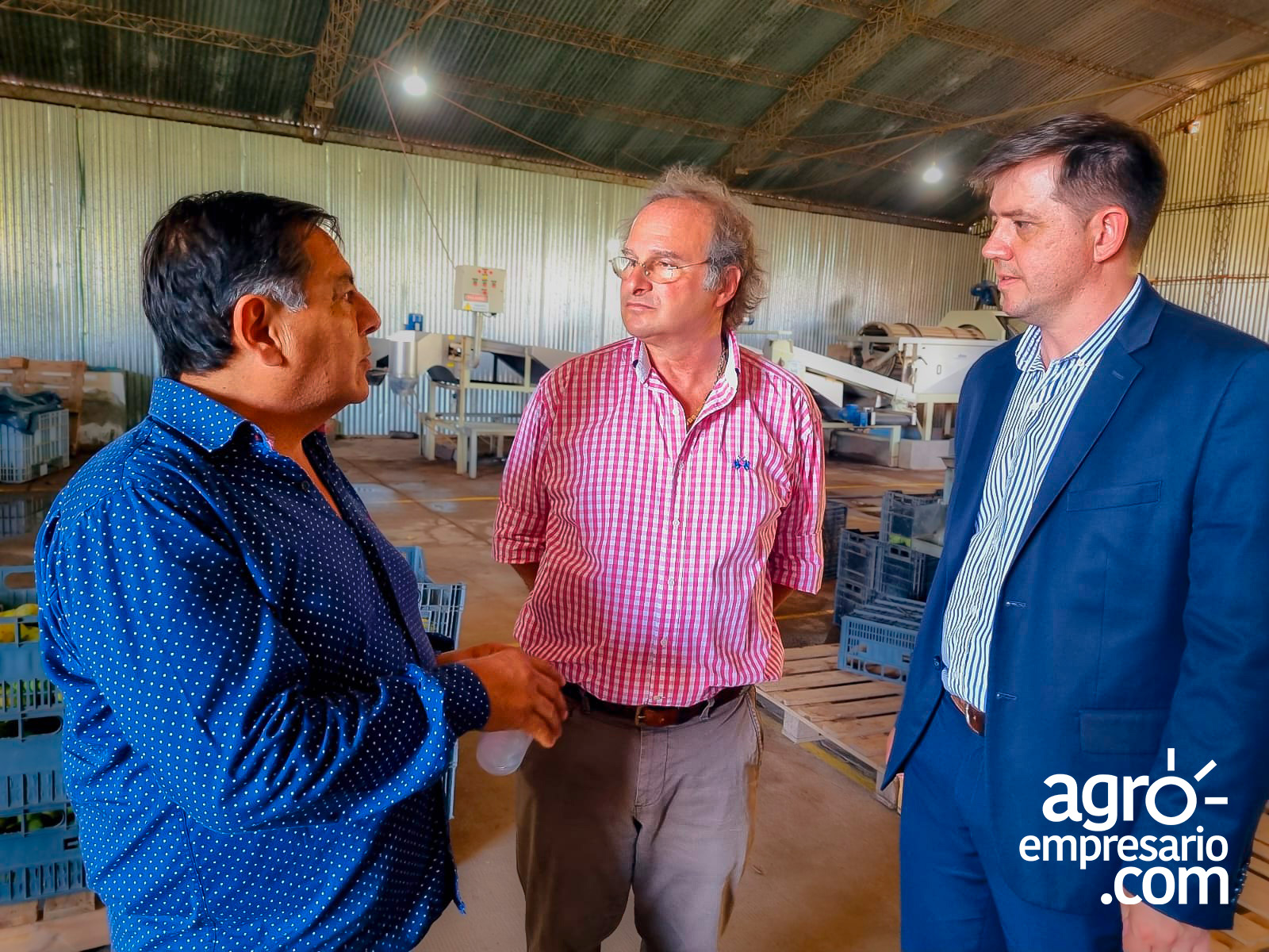 Catamarca convierte un ensayo productivo en un negocio exportador con destino Europeo