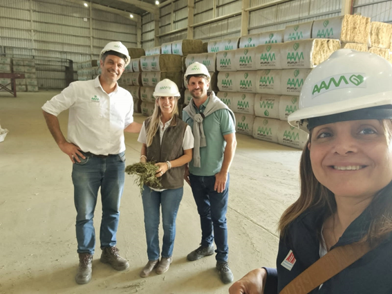 La coordinación del Programa de Mejoramiento Genético en gramíneas y leguminosas visitó el INTA Santiago