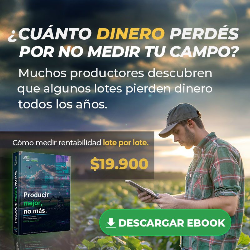 Lote por lote: la decisi&oacute;n que puede cambiar el resultado de tu campa&ntilde;a