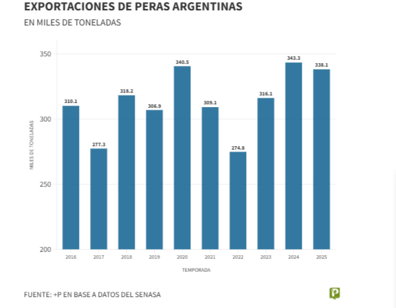 Exportaciones de peras: 2025 cerró por debajo de lo esperado pese a un inicio alentador