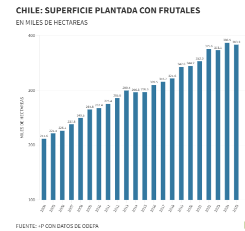 Exportaciones en ca&iacute;da: el desaf&iacute;o de la cereza chilena