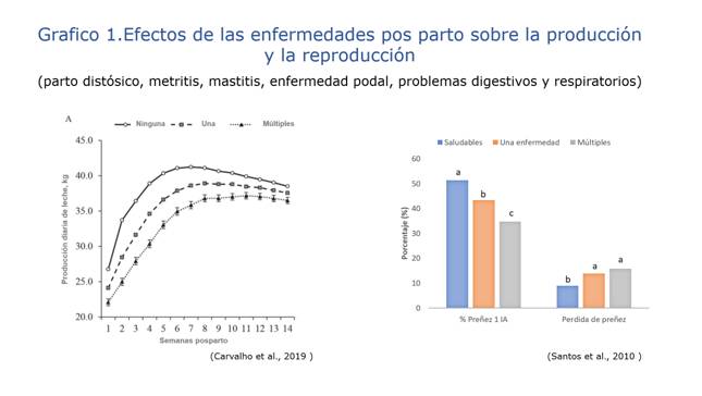 Convertir a la transición en una oportunidad